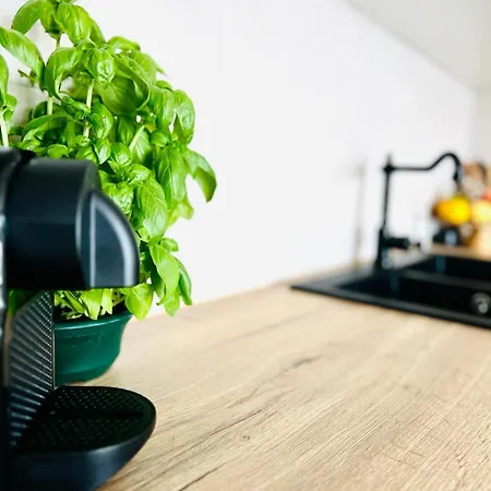 וילה Bohosol House