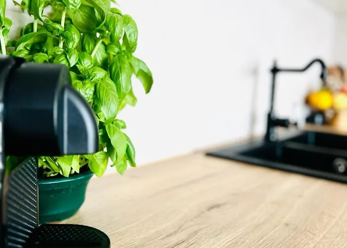 וילה Bohosol House