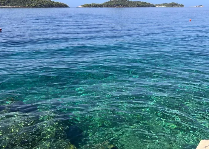 וילה Bohosol House